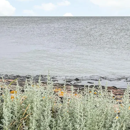 One-bedroom In St Annen *